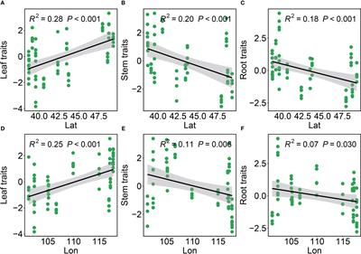 Temperature explains intraspecific functional trait variation in Phragmites australis more effectively than soil properties